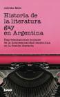 Historia de la literatura gay en Argentina: Representaciones sociales de la homosexualidad masculina en la ficción literaria By Adrián Melo Cover Image
