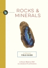 Rocks and Minerals: An Illustrated Field Guide By Evelyn Mervine, Vlad Stankovic (Illustrator) Cover Image