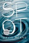 The Spot: Stories By David Means Cover Image