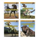 Little Paleontologist Cover Image
