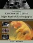 Practical Atlas of Ruminant and Camelid Reproductive Ultrasonography By Luc Descôteaux (Editor), Jill Colloton (Editor), Giovanni Gnemmi (Editor) Cover Image
