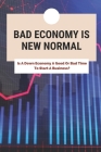 Bad Economy Is New Normal: Is A Down Economy A Good Or Bad Time To Start A Business?: How To Start Business In A Bad Economy Cover Image