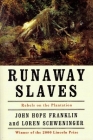 Runaway Slaves: Rebels on the Plantation By John Hope Franklin, Loren Schweninger Cover Image