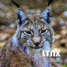 Lynx Calendar 2019: 16 Month Calendar By Mason Landon Cover Image