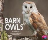 Barn Owls By Gail Saunders-Smith (Consultant), Melissa Hill Cover Image