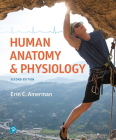 Human Anatomy & Physiology By Erin Amerman Cover Image
