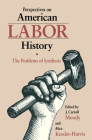Perspectives on American Labor History: The Problems of Synthesis By J. Carroll Moody (Editor), Alice Kessler-Harris (Editor) Cover Image