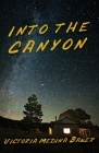 Into the Canyon By Victoria Lourdes Medina Baker, You & I Creative Co (Cover Design by), Levi McKay (Photographer) Cover Image