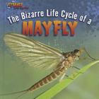 The Bizarre Life Cycle of a Mayfly (Strange Life Cycles) By Greg Roza Cover Image