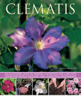 Clematis: An Illustrated Guide to Varieties, Cultivation and Care Cover Image