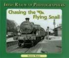 Chasing the Flying Snail Cover Image
