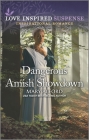 Dangerous Amish Showdown Cover Image