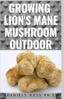 Growing Lion's Mane Mushroom Outdoor: Expert guide on Growing Lion's Mane Mushroom Outdoor, including their Cultivation technique and Benefits. By Daniels Ross Ph. D. Cover Image