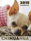 Chihuahua 2018 Calendar Cover Image