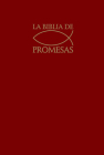 Santa Santa Biblia de Promesas Reina Valera 1960 - Rústica- Color Vino Cover Image