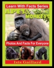 Apes and Monkeys Photos and Facts for Everyone: Animals in Nature Cover Image