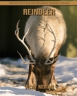 Reindeer: Amazing Facts and Pictures about Reindeer for Kids By Vicky Moran Cover Image