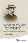 Undergraduate Convexity: From Fourier and Motzkin to Kuhn and Tucker By Niels Lauritzen Cover Image
