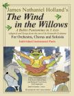 The Wind in the Willows: A Ballet Pantomime in Three Acts: Individual Instrumental Parts By Kenneth Grahame, James Nathaniel Holland Cover Image