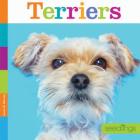 Terriers (Seedlings) By Laura K. Murray Cover Image