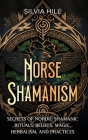 Norse Shamanism: Secrets of Nordic Shamanic Rituals, Beliefs, Magic, Herbalism, and Practices By Silvia Hill Cover Image