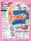 Blueprint for Health Your Ears Chart By Anatomical Chart Company (Prepared for publication by) Cover Image