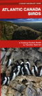 Atlantic Canada Birds: A Folding Pocket Guide to Familiar Species (Pocket Naturalist Guide) By James Kavanagh, Waterford Press, Raymond Leung (Illustrator) Cover Image