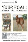 Your Foal: Essential Training Cover Image