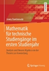 Mathematik Für Technische Studiengänge Im Ersten Studienjahr: Analysis Und Lineare Algebra Von Der Theorie Zur Anwendung Cover Image