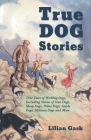 True Dog Stories - True Tales of Working Dogs, Including Stories of Gun Dogs, Sheep Dogs, Police Dogs, Guide Dogs, Military Dogs and More By Lilian Gask Cover Image