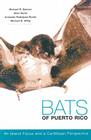 Bats of Puerto Rico: An Island Focus and a Caribbean Perspective By Michael R. Gannon (Editor), Allen Kurta, Armando Rodriguez-Duran Cover Image