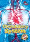 The Circulatory System (Your Body Systems) By Rebecca Pettiford Cover Image