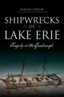 Shipwrecks of Lake Erie: Tragedy in the Quadrangle (Disaster) By David Frew Cover Image