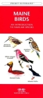 Maryland & DC Birds: A Folding Pocket Guide to Familiar Species (Pocket Naturalist Guide) Cover Image