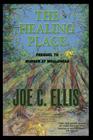 The Healing Place--Prequel to Murder at Whalehead Cover Image