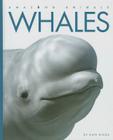 Whales (Amazing Animals) By Kate Riggs Cover Image