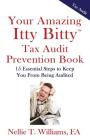 Your Amazing Itty Bitty Tax Audit Prevention Book: 15 Essential Tips to Keep From Being Audited By Nellie T. Williams Ea Cover Image