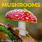 Mushroom (the Art of The) 2025 12 X 12 Wall Calendar Cover Image