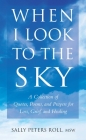 When I Look to the Sky: A Collection of Quotes, Poems, and Prayers for Loss, Grief, and Healing (Little Book. Big Idea.) By Sally Roll Cover Image