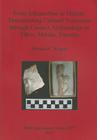 From Ichcanzihoo to Mérida: Documenting Cultural Transition through Contact Archaeology in Tíhoo, Mérida, Yucatán (BAR International #2277) By Rhianna C. Rogers Cover Image