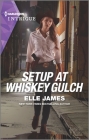 Setup at Whiskey Gulch (Outriders #4) By Elle James Cover Image