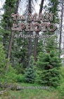 The Man in the Photo: A Flagstaff Mystery By Debby Arthur Warner Cover Image