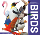 Essential Birds By Arnold Ringstad Cover Image