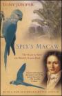 Spix's Macaw: The Race to Save the World's Rarest Bird By Tony Juniper Cover Image
