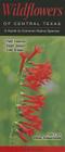 Wildflowers of Central Texas: A Guide to Common Native Species By Steven Schwartzman Cover Image