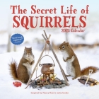 The Secret Life of Squirrels Wall Calendar 2025 By Nancy Rose, Workman Calendars Cover Image