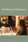 Mediating Indianness (American Indian Studies) Cover Image