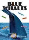 Blue Whales (X-Books: Marine Mammals) By Ashley Gish Cover Image