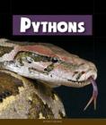 Pythons (Animals of the Rain Forest) By Don P. Rothaus Cover Image