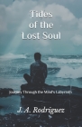 Tides of the Lost Soul: Journey Through the Mind's Labyrinth Cover Image